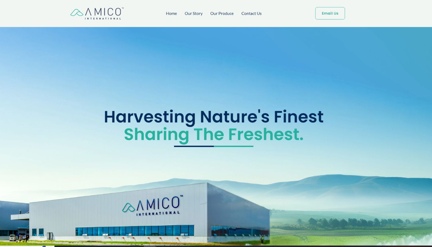 Amico export business